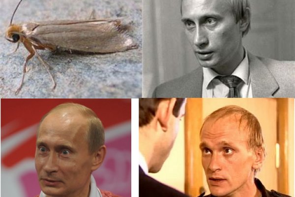 Kraken ем