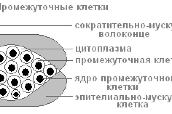 Kraken ссылка tor